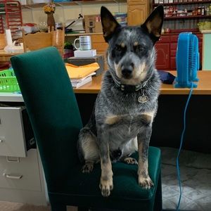 Meet your Posher, Kenda